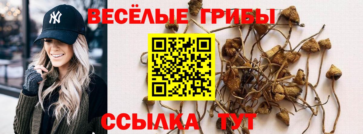 Псилоцибиновые грибы Psilocybe  Вход с VPN  Псилоцибиновые грибы ЛСД  наркотики  Тимашёвск 